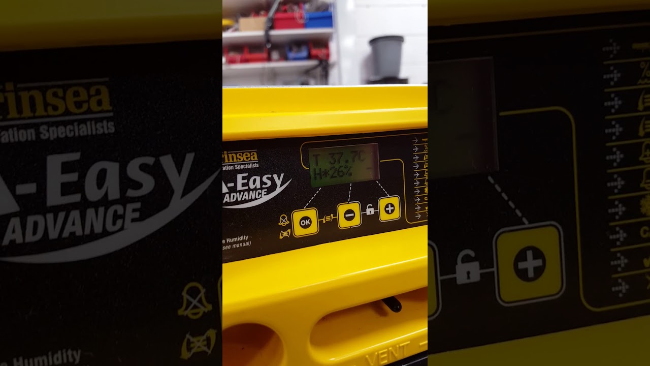 Brinsea Ovaeasy 190 and 380 - How to deal with a turning fault