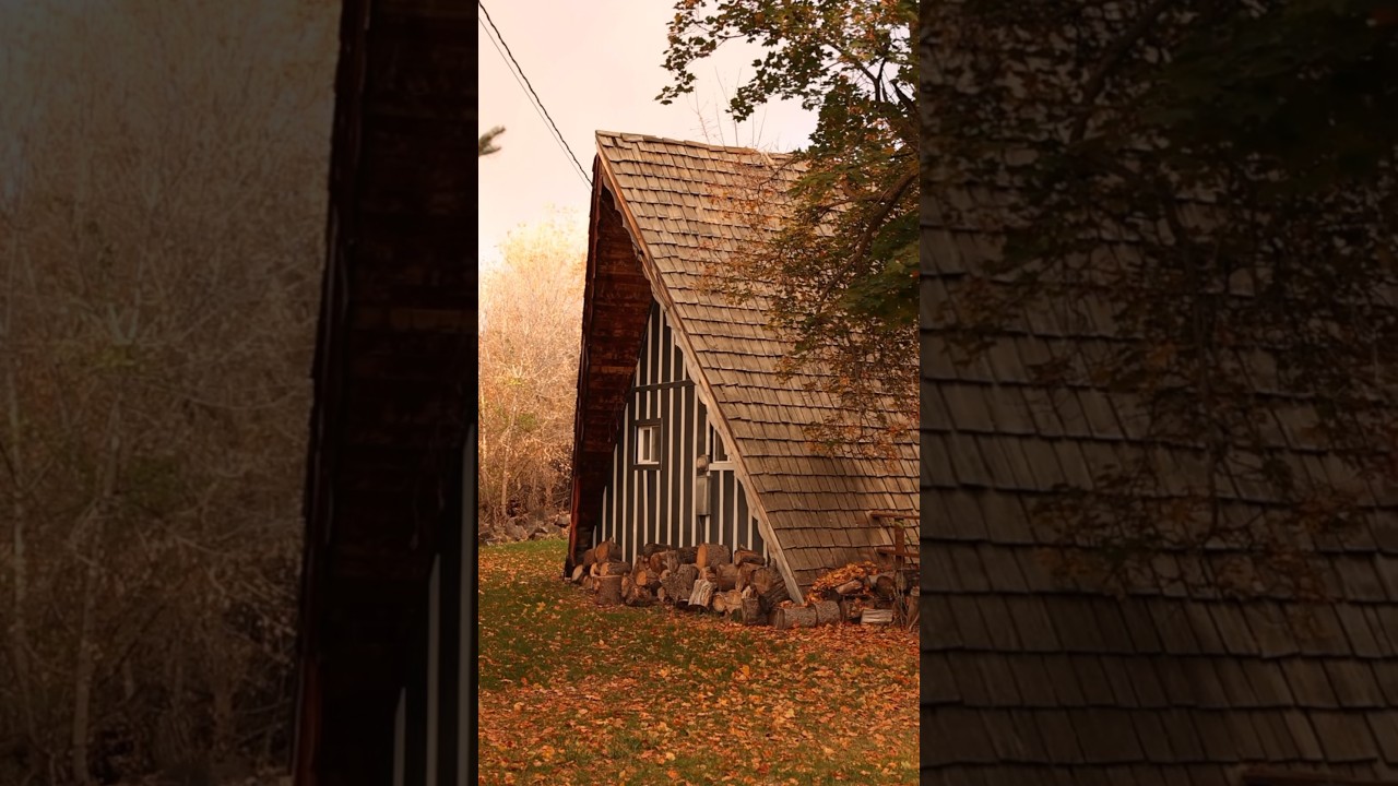 That Old Cabin in The Woods 