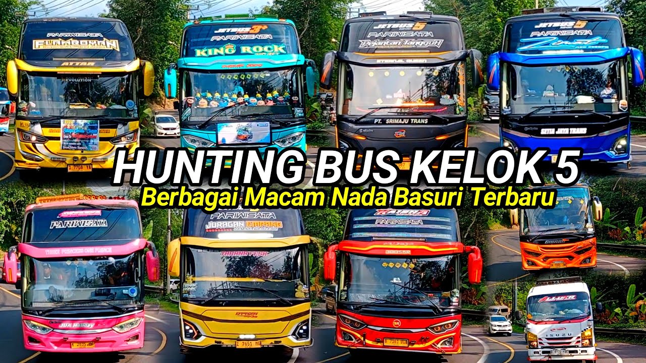 FULL BUS BASURI ‼️Hunting Bus Di Kelok 5 Full Nada Basuri Terbaru