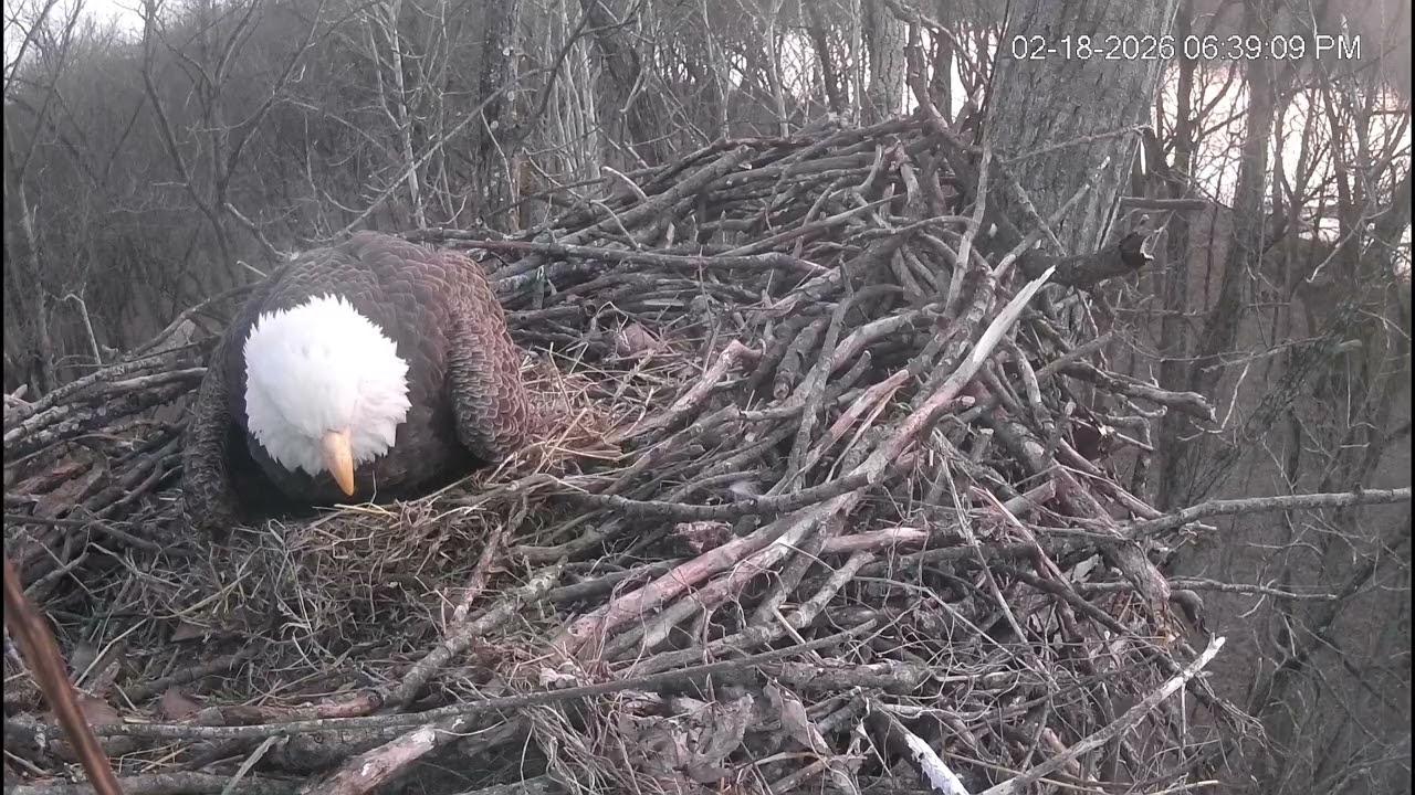 3rd egg!
