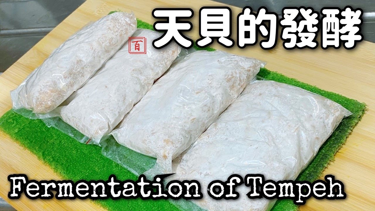 如何自製？天貝的發酵和做法 [English Sub & recipe] Homemade tempeh | Easy fermentation of making your own tempeh !