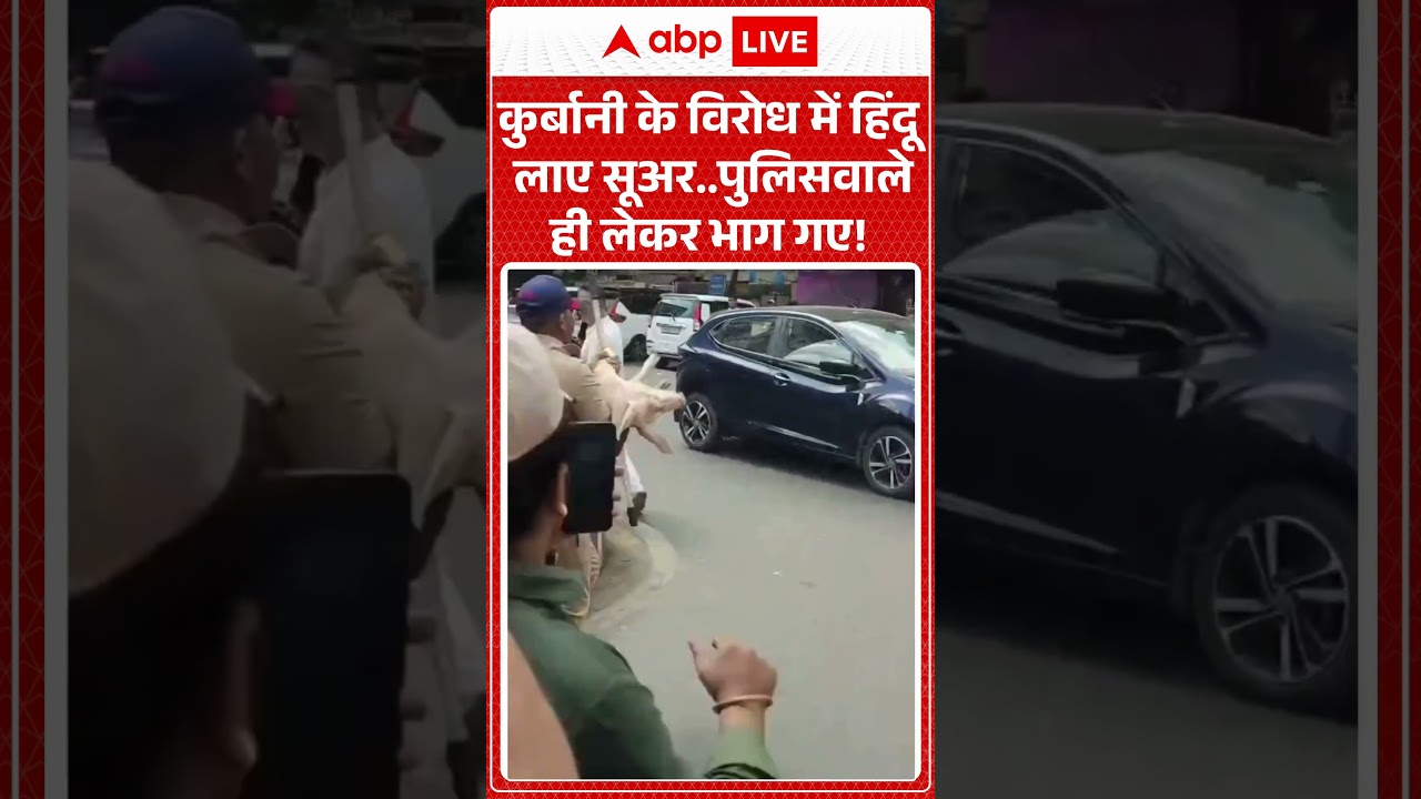 Viral Video | Bakrid Controversy | कुर्बानी के विरोध में हिंदू लाए सुअर |#ytshorts  #trendingnews