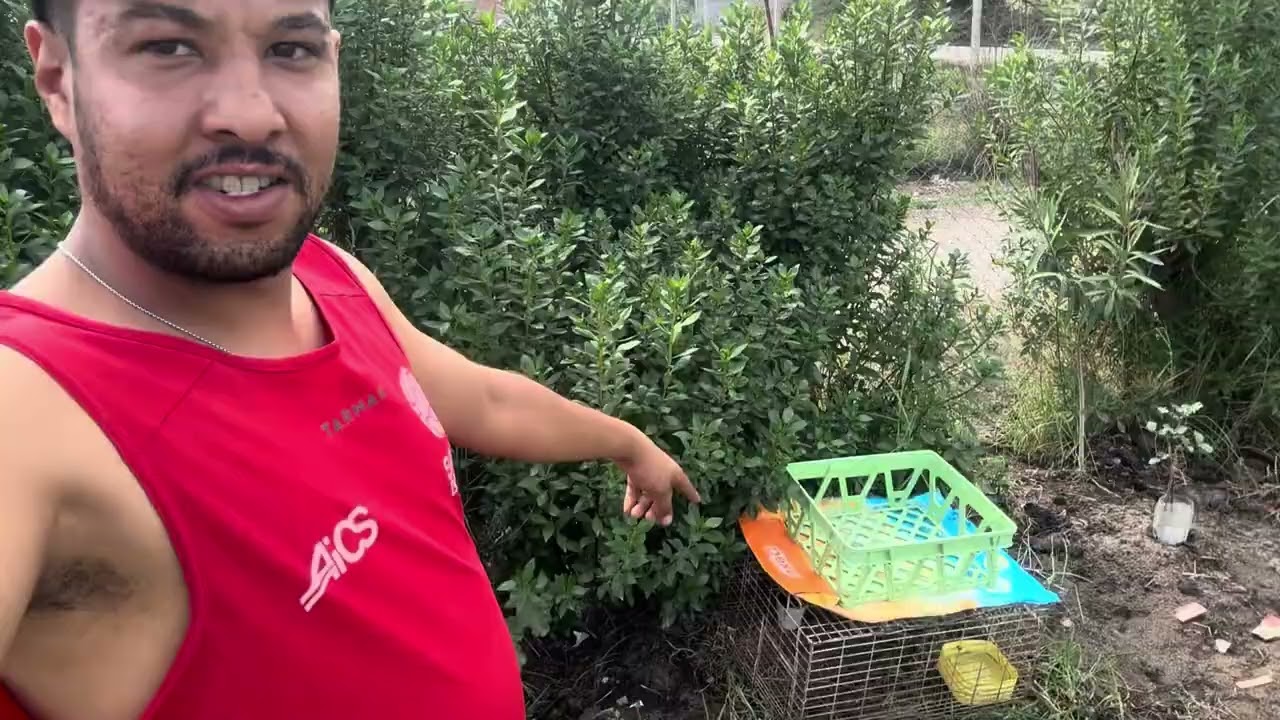 أول إستثمار بعد ترك الوضيفة | توكل على الله