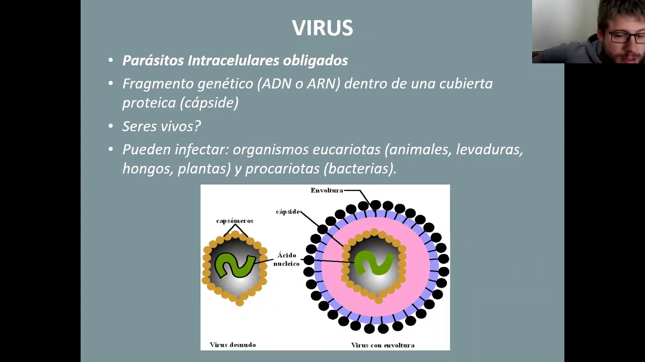 CAFH M3 - Tema 5 - Farmacolog&iacute;a de las infecciones virales