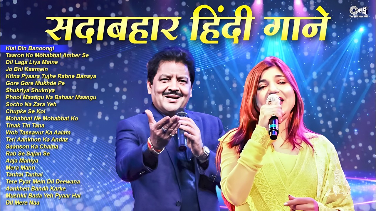 सदाबहार हिंदी गाने | Udit Narayan & Alka Yagnik Romantic Songs| 90s Love Songs | 90s Hits Hindi Song