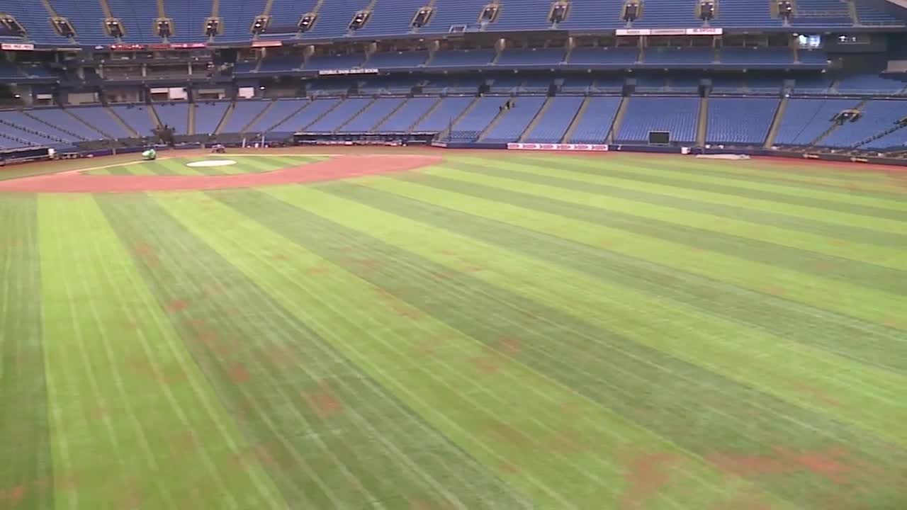 Rays will play on new artificial turf at Tropicana Field