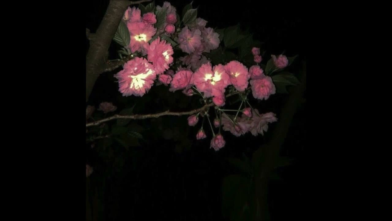 FREE SNOT x XXXTENTACION TYPE BEAT - 