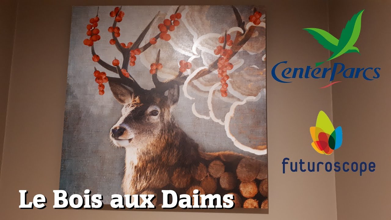 Vakantie Center Parcs Le Bois Aux Daims en Futuroscope