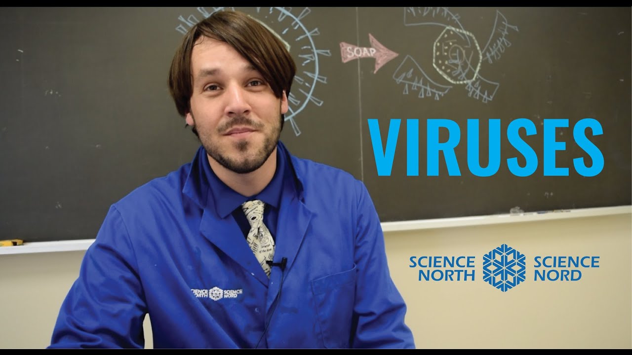 Hands-On Science! e01 &mdash; VIRUSES! 🦠