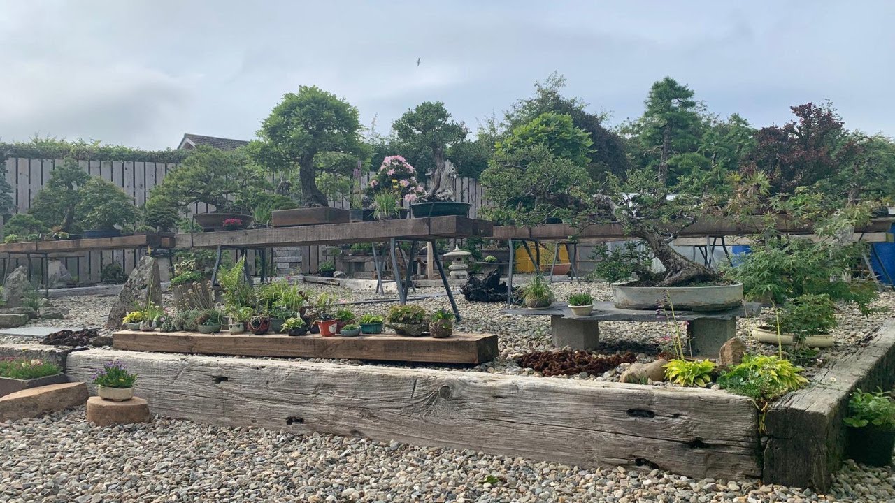 Garden visit and Interview with Ian Young aka 