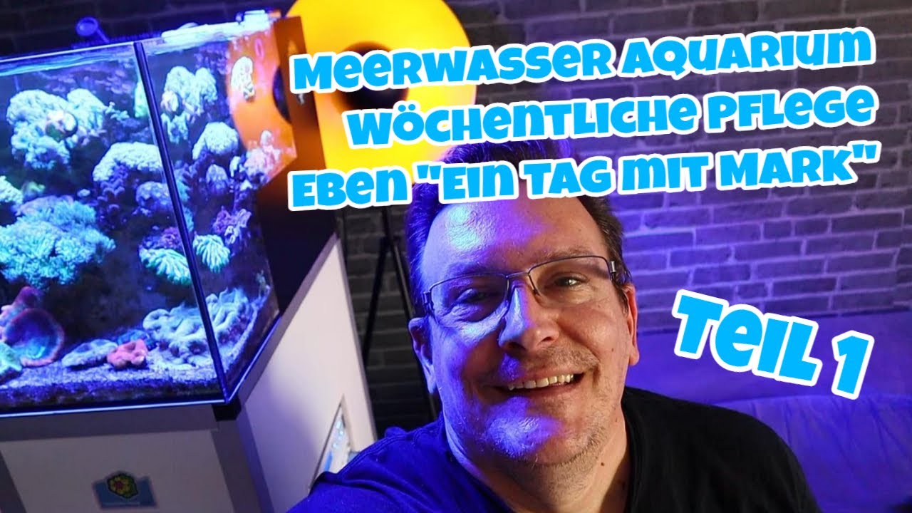 📢 W&ouml;chentliche Pflege von 4 Meerwasser Aquarien ⭐ Ein Tag mit Mark Teil 1 ⭐