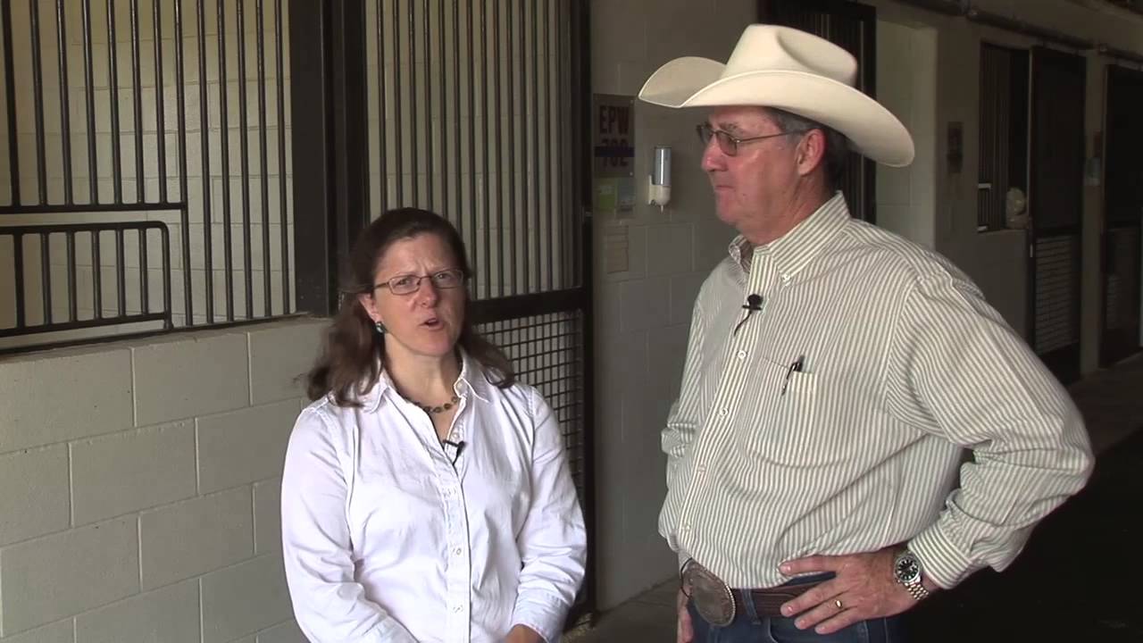 Dennis Sigler - Horse Diseases - Equine Herpes Virus