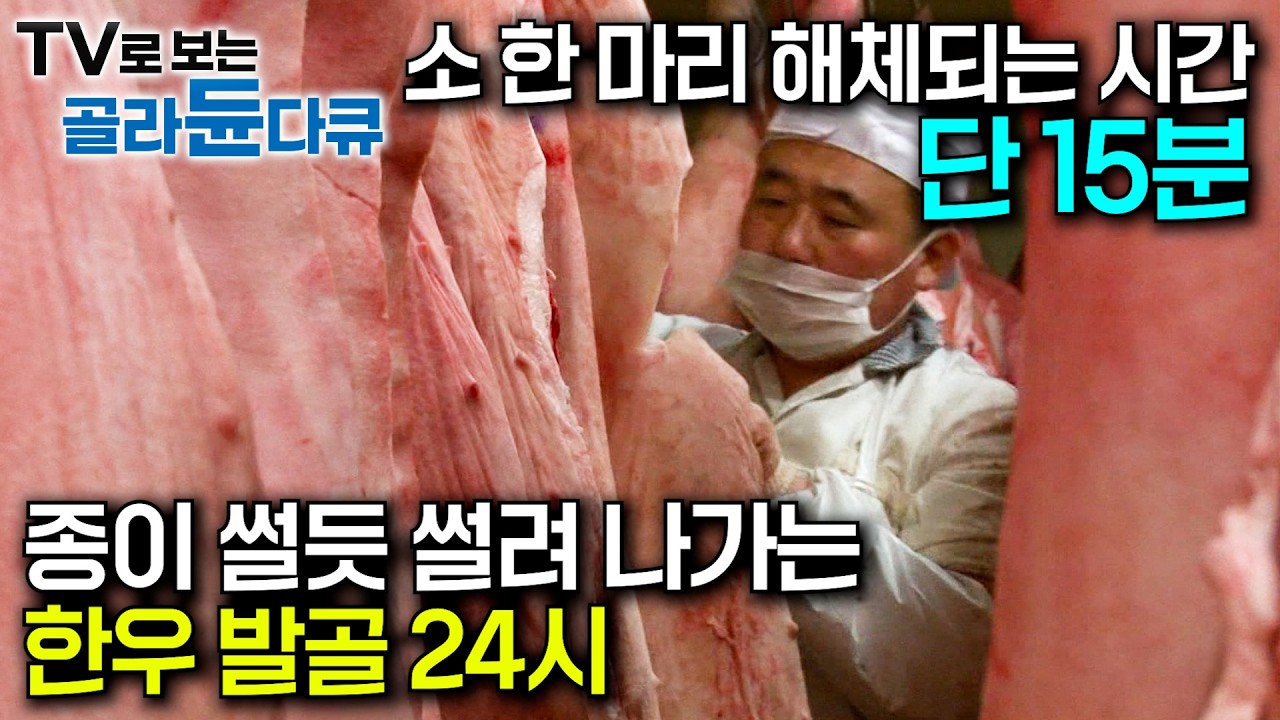 소 한 마리 해체되는 시간 15분. 소가 가장 많이 팔리는 대목 마장동 현장 찾아갔더니｜AI가 절대 못 따라가는 인간 기술의 끝판왕｜국내 육가공 최대 도매시장｜극한직업｜#골라듄다큐
