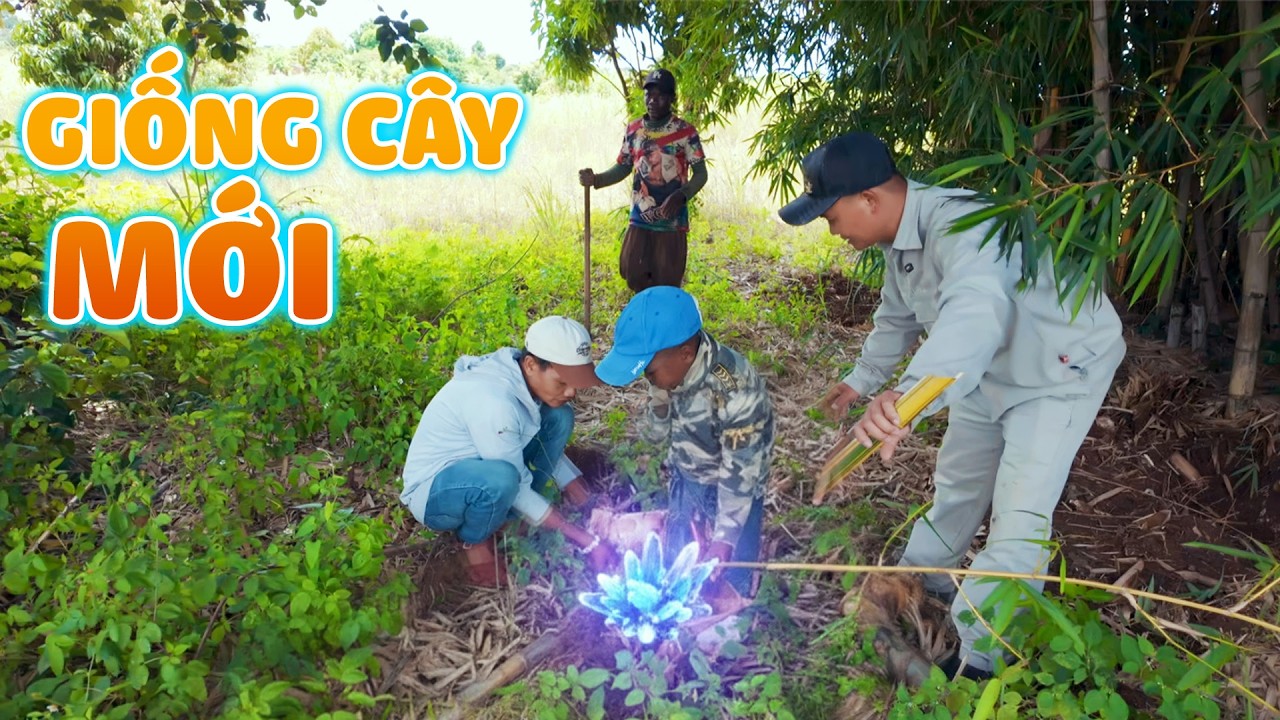 Quanglinhvlogs || Giống Cây Mới Lạ Cho Quang Linh Farm - Mang Lộc Về Đầu Năm