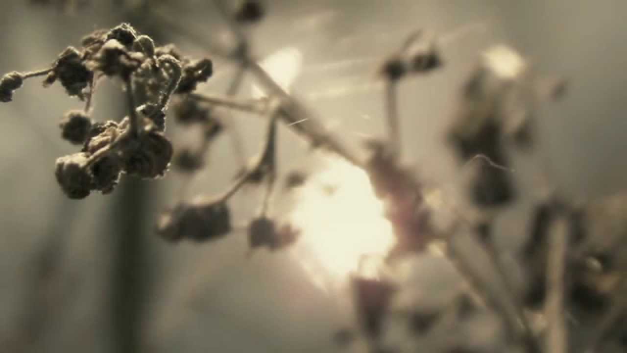Can't Find My Way Home by Blind Faith in 1080p HD