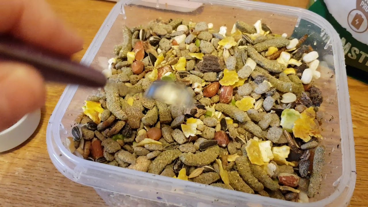 Hamster Food Review - Versele Laga Nature