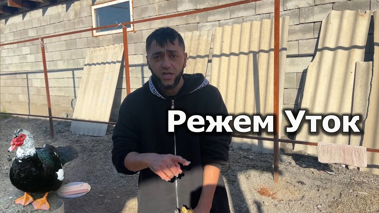Режем Индоуток//Будем делать ТУШЕНКУ с УТОК