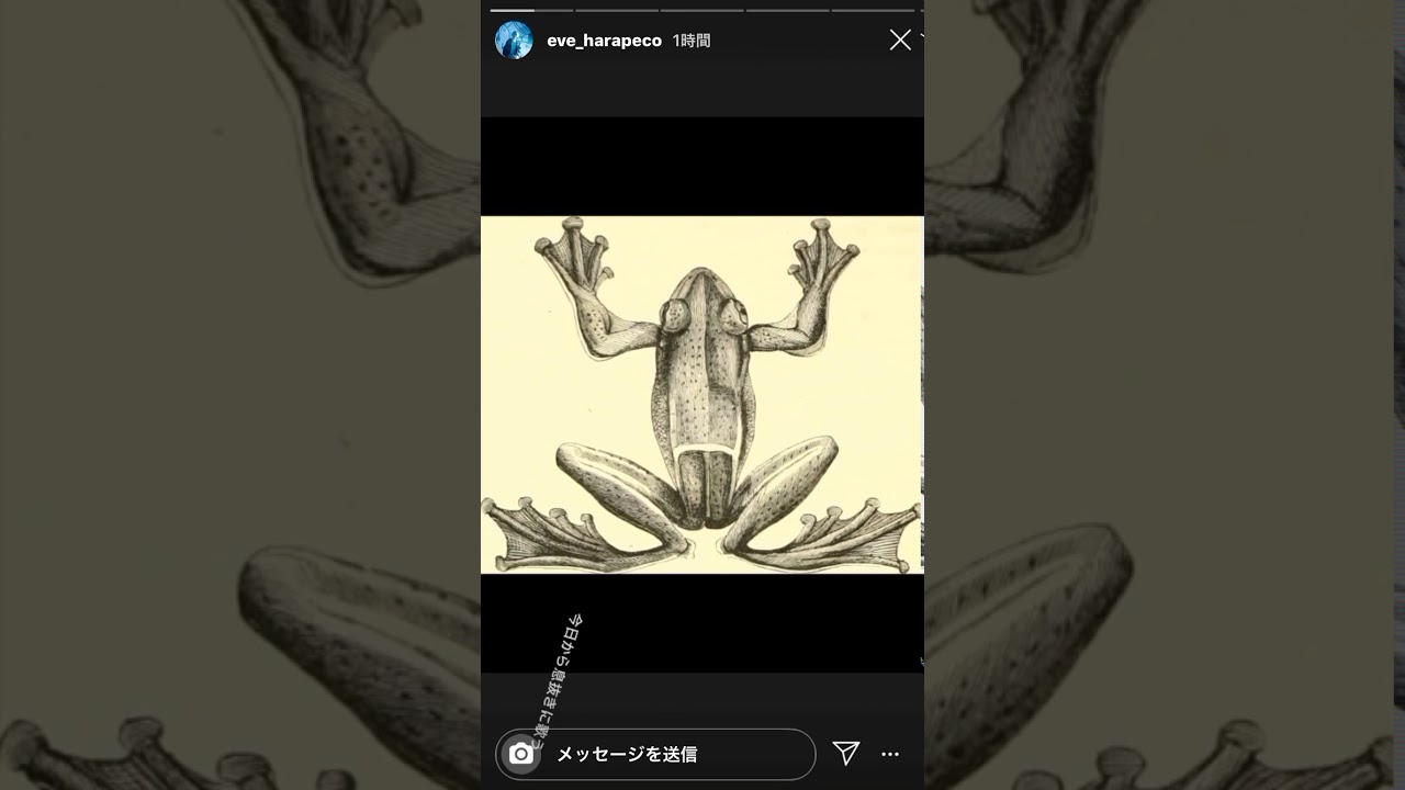 Eve 未公開歌ってみたまとめ　インスタストーリー