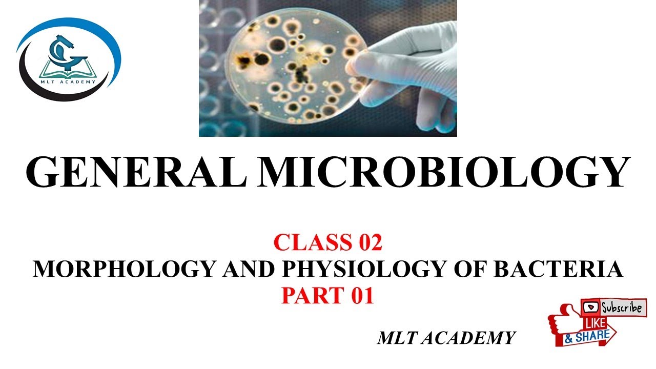|GENERAL MICROBIOLOGY CLASS 02| MORPHOLOGY AND PHYSIOLOGY OF BACTERIA PART 1|