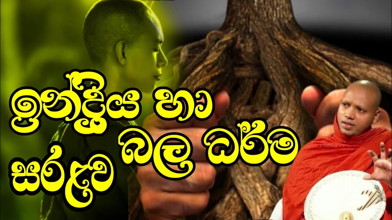 ඉන්ද්‍රිය හා බල ධර්ම සරළව.හසලක සීලවිමල හිමි.Hasalaka Seelawimala Thero