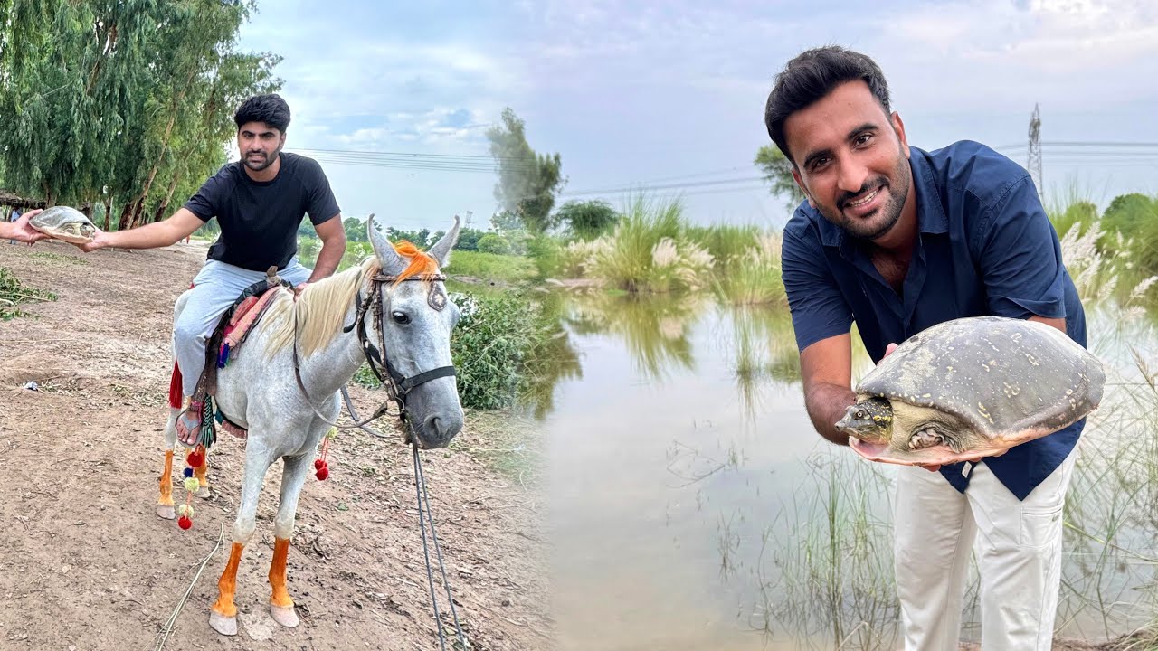 Horse pe charh Kachway Ko Azad krne Gaiy Bht Maza Aya😍
