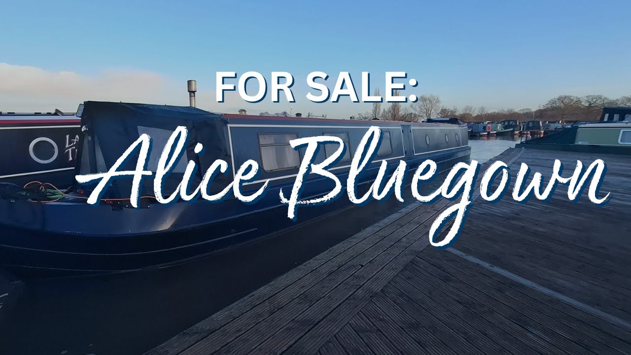 FOR SALE: ALICE BLUEGOWN