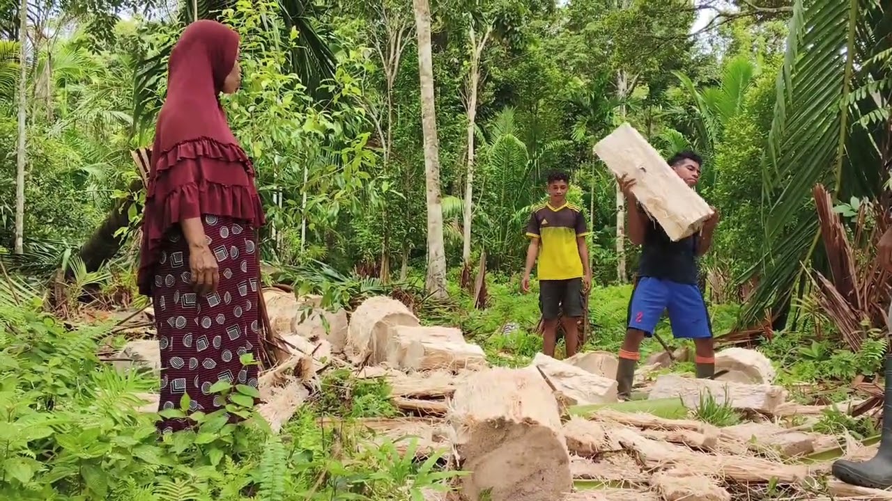 Proses Pembuatan Sagu Sebagai Tradisi Ramadhan Di Maluku