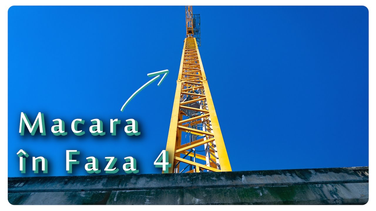 CATTED Family | Macara în Faza 4