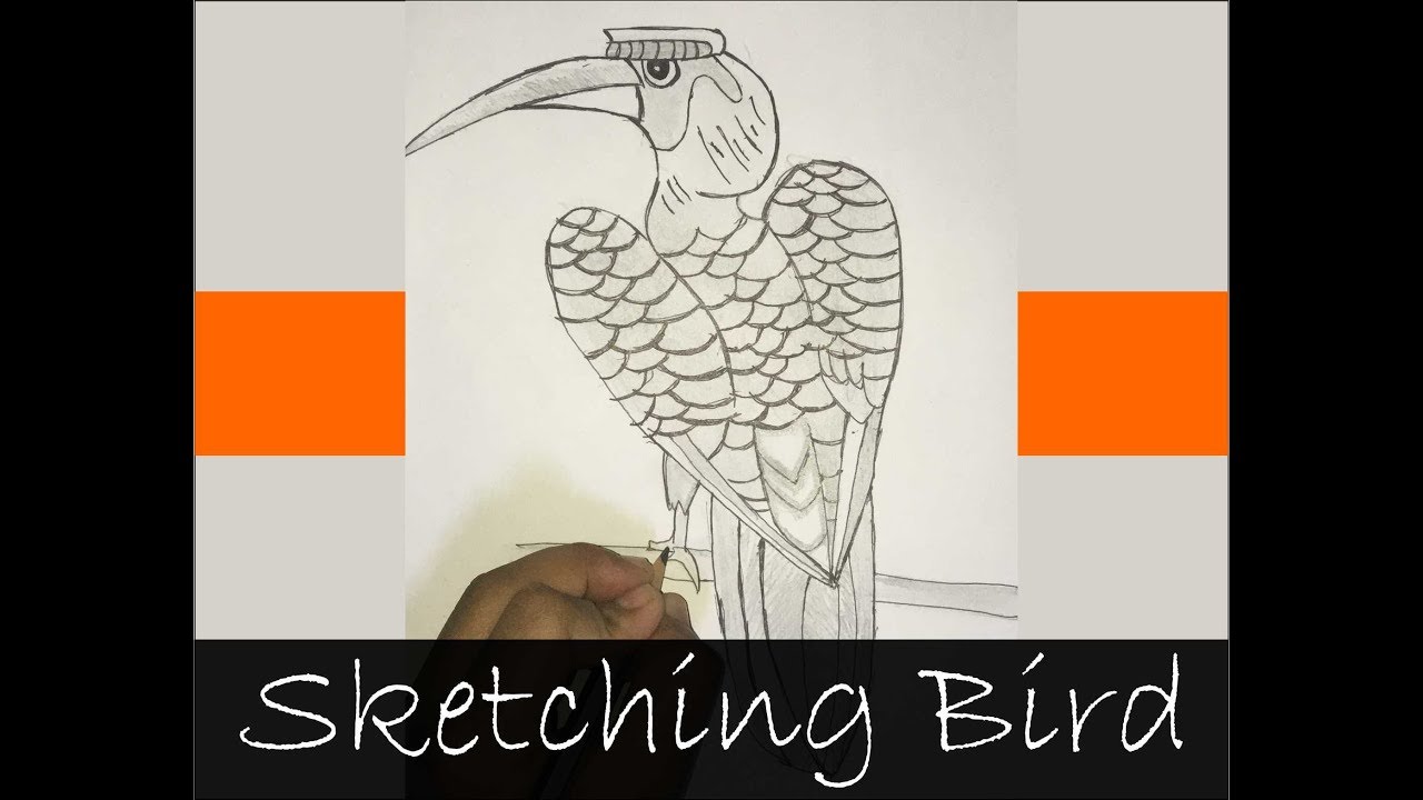 How To Draw Bird || Sketch Bird || step by step