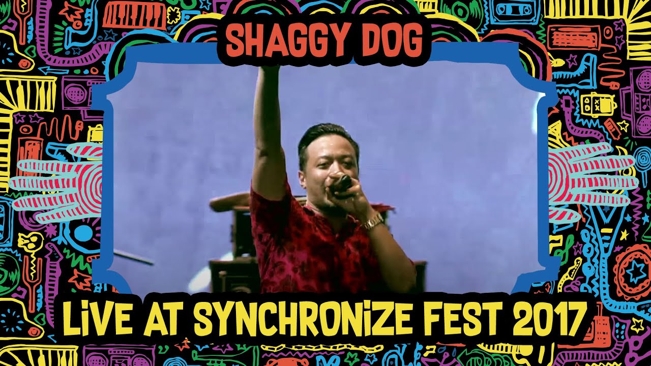Shaggy Dog LIVE @ Synchronize Fest 2017