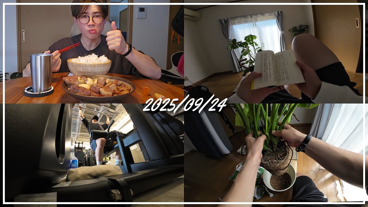 【都内1人暮らし】カーテンの設置│モンステラの植え替え│筋トレ│豚の角煮と米三合