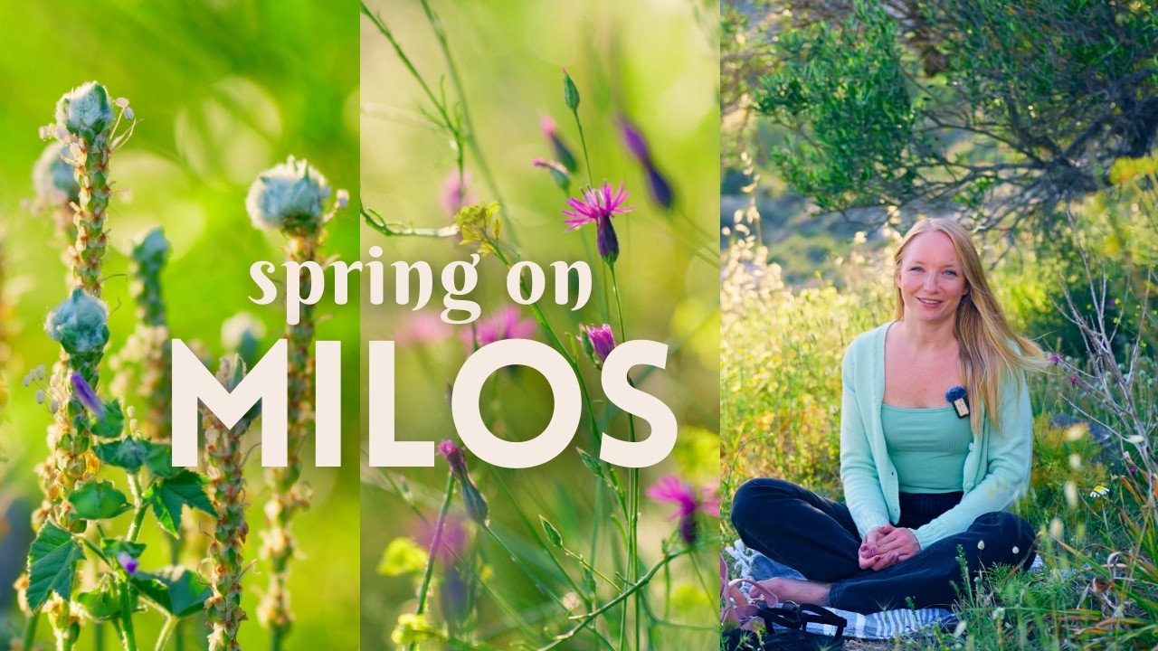 Greek Island Life in Spring | Reflections & Slow Days - Milos Island