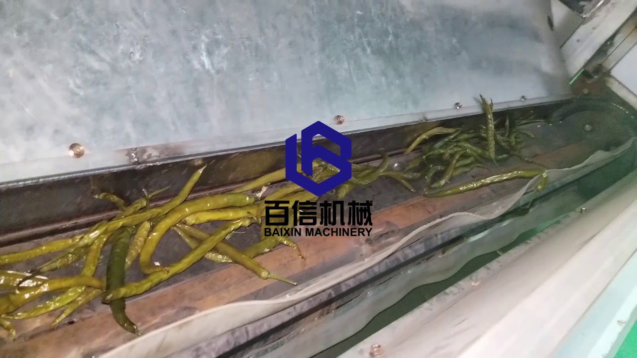 Green chilli drying