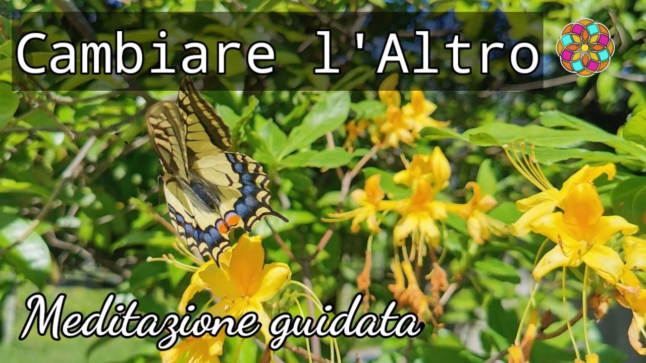 Come cambiare l’altro? - Meditazione guidata breve - Accettare una persona - Riprogramma l'inconscio