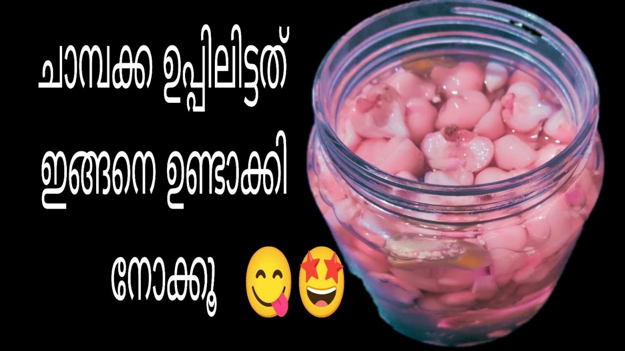 💯 ചാമ്പക്ക ഉപ്പിലിടുമ്പോൾ ഇതുപോലെ ഉണ്ടാക്കി നോക്കൂ 😋@KunjumolNivya 
