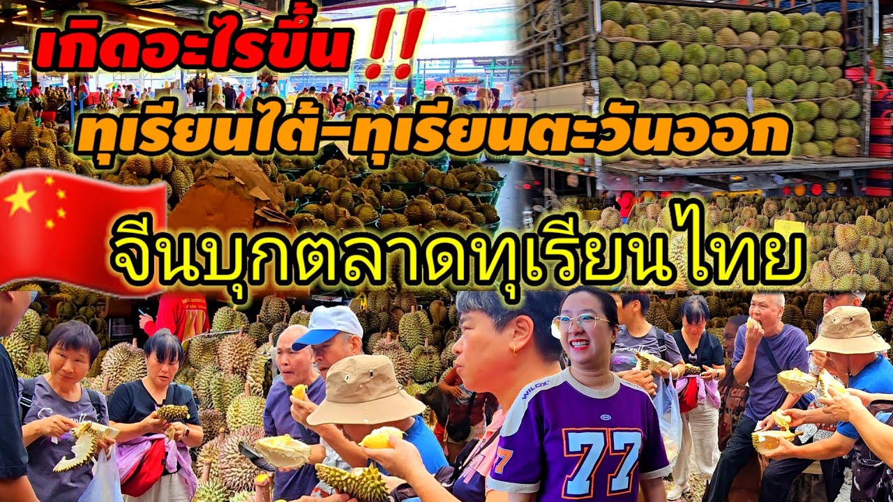 จีนไม่ทน!จีนบุกถึงตลาดทุเรียนไท#ตลาดไท#thaifood #streetfood #แอดมินยุทธ