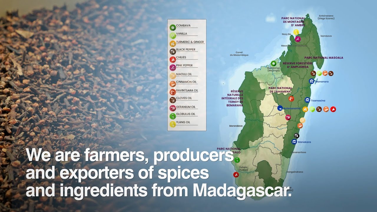 APL Madagascar 🌍 | From Farmers to Global Markets 🚢✨ Premium Vanilla & Spices 🌱🌸