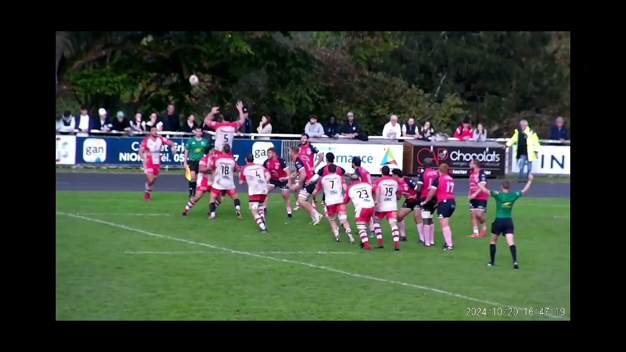 DAVIT GVIDIANI 24/25