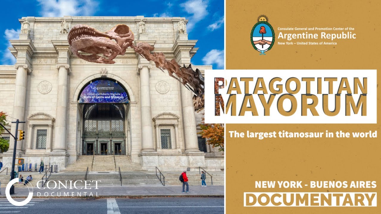 Patagotitan Mayorum | The largest titanosaur in the world | New York – Buenos Aires