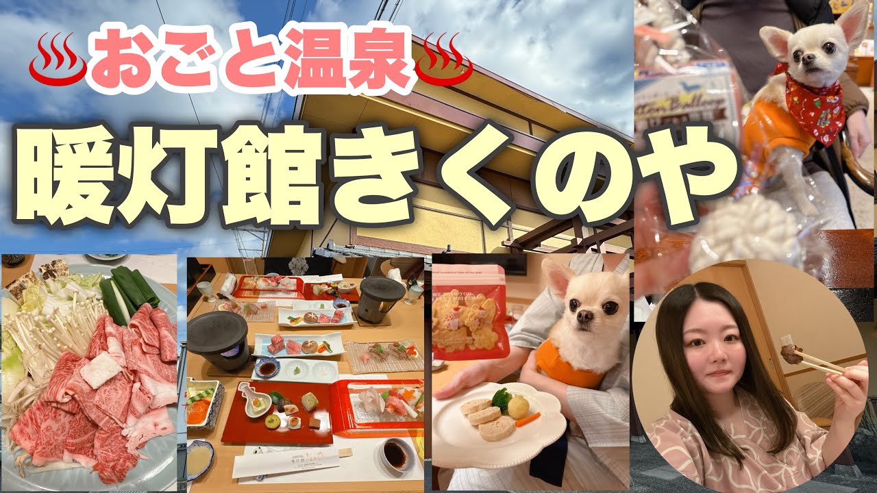 【おごと温泉♨️暖灯館きくのや】愛犬に優しい旅館🐶近江牛づくし🍖このん🤎誕生日🎂旅行