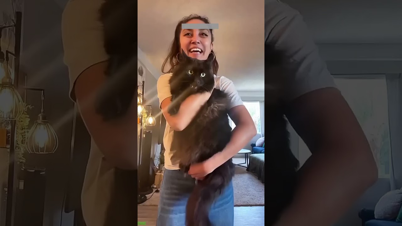 ❤️🐈 Funny cats ❤️🐈 , ❤️Funniest cats #FunAnimals  PART 368