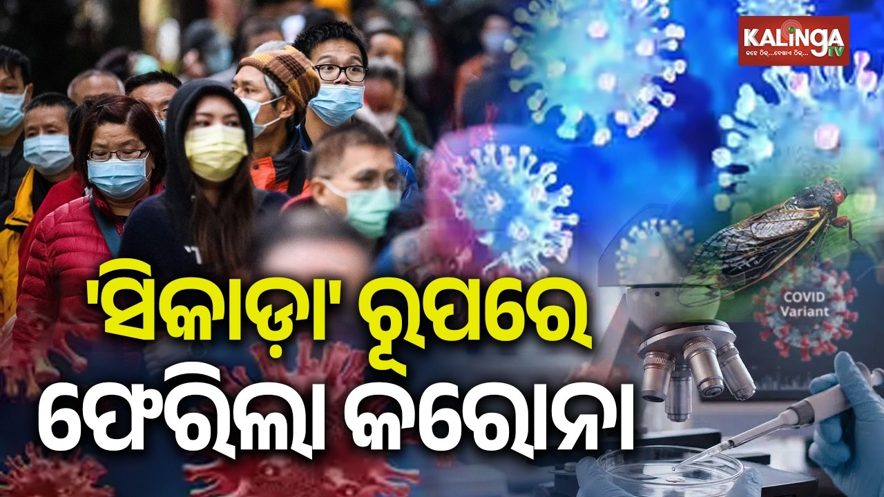 New COVID Subvariant BA.3.2, Called &ldquo;Cicada,&rdquo; Raises Global Attention | Kalinga TV