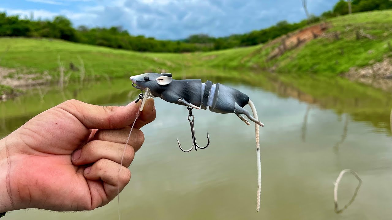 Será Posible Pescar con una RATA? | Reto de Pesca!
