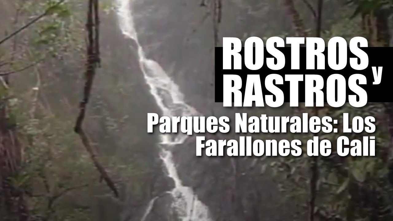 Rostros y Rastros: Parques Naturales: Los Farallones de Cali (1997)