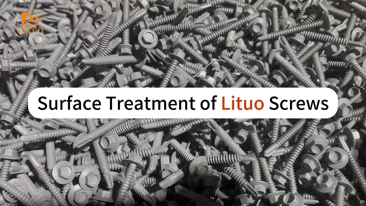 🔩 Looking for a screw supplier? Lituo is the best choice.