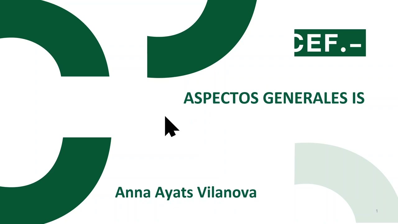 Aspectos Generales IS