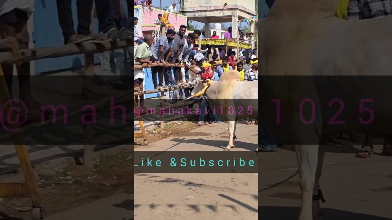 Adichi kattunga parpom