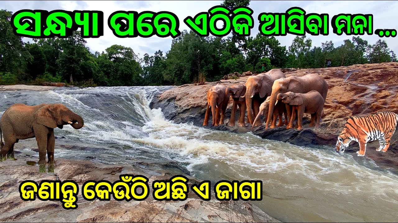 picnic ପାଇଁ ଜାଗା ଖଣ୍ଡେ | Harichandanpur | Keonjhar tourist places