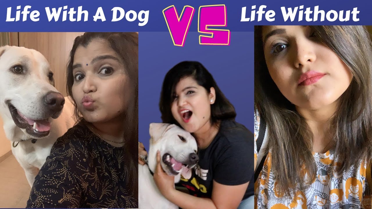 Life With Vs Without A Dog | Crazy Naari | Funny Labrador Dog Video
