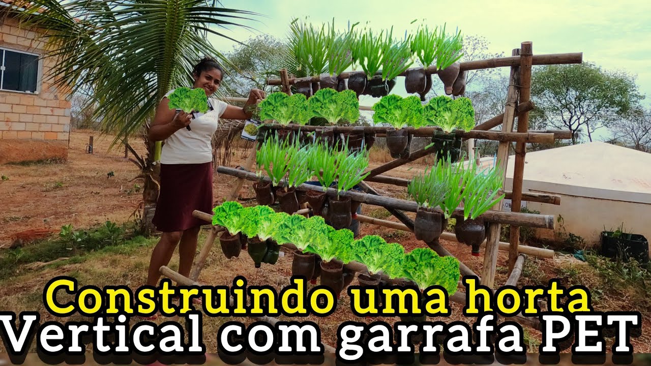 Horta vertical sustentável transforme garrafa pet em plantas fresquinhas!